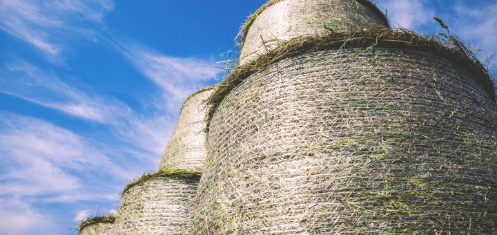 Large grass bales and blue sky