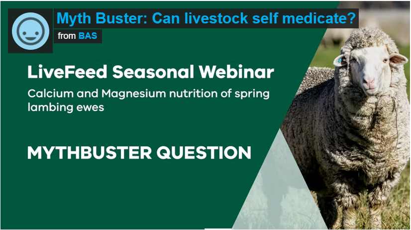 Myth Buster: Do livestock self medicate?