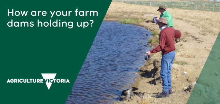 farmers standing at dam edge using the DAMDEEP measurement tool