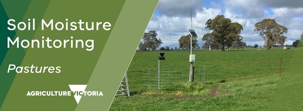 Soil Moisture Monitoring Pastures Newsletter
