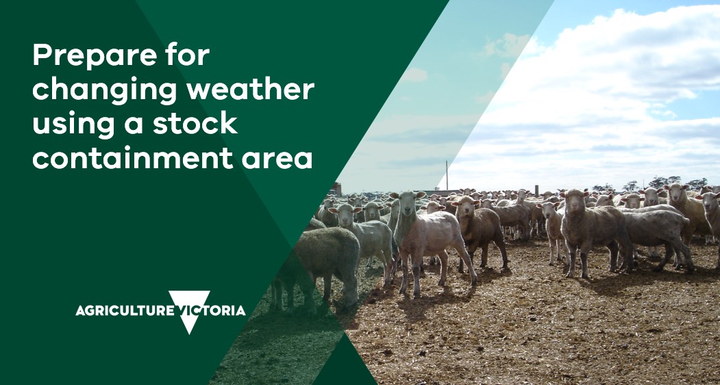 Caring for stock in challenging weather conditions