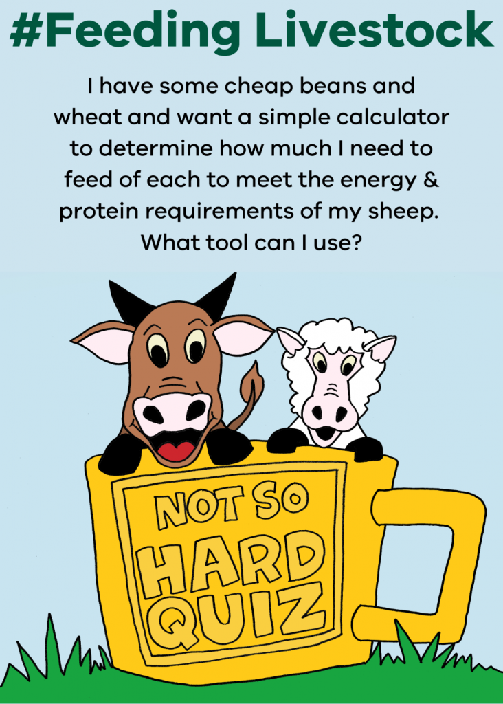 Question: I have some cheap beans and wheat and want a simple calculator to determine how much I need to feed of each to meet the energy and protein requirements of my sheep.What tool can I use?